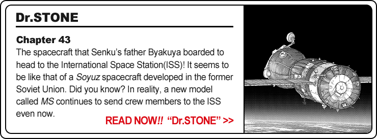 Dr.STONE